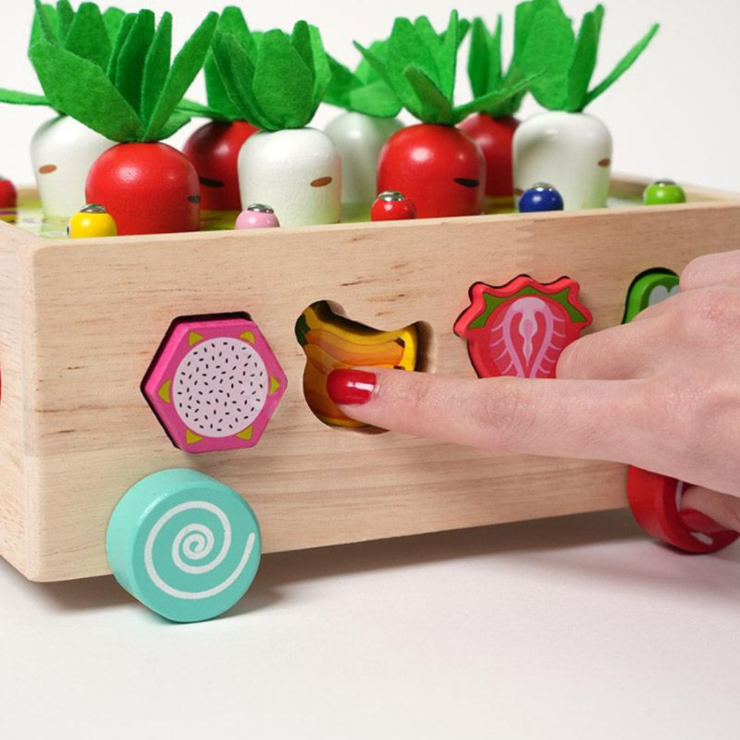 Rasa Sayang Montessori Carrot Wheels