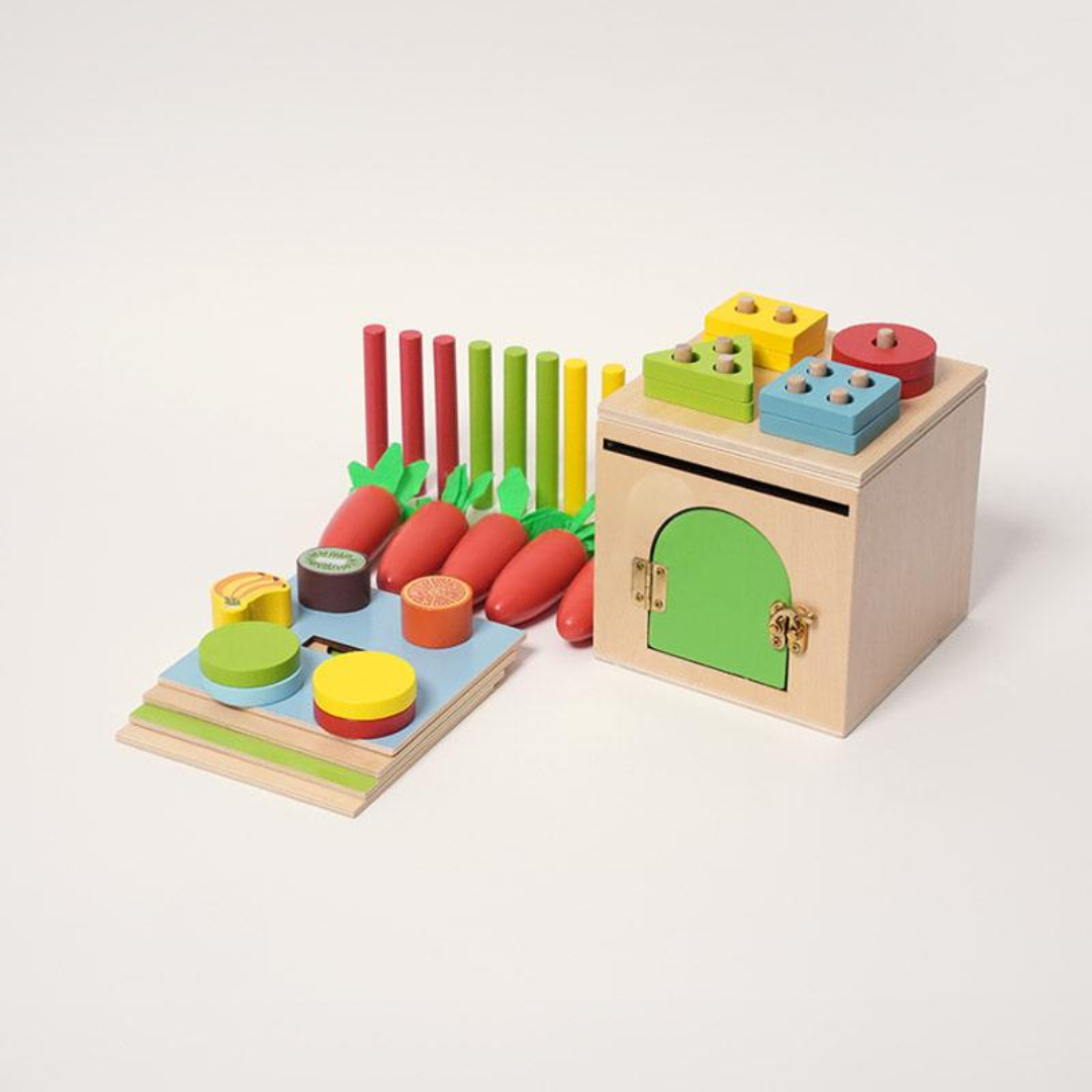 Rasa Sayang Montessori 6-in-1 Sorting Tool Set