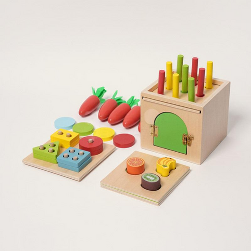 Rasa Sayang Montessori 6-in-1 Sorting Tool Set