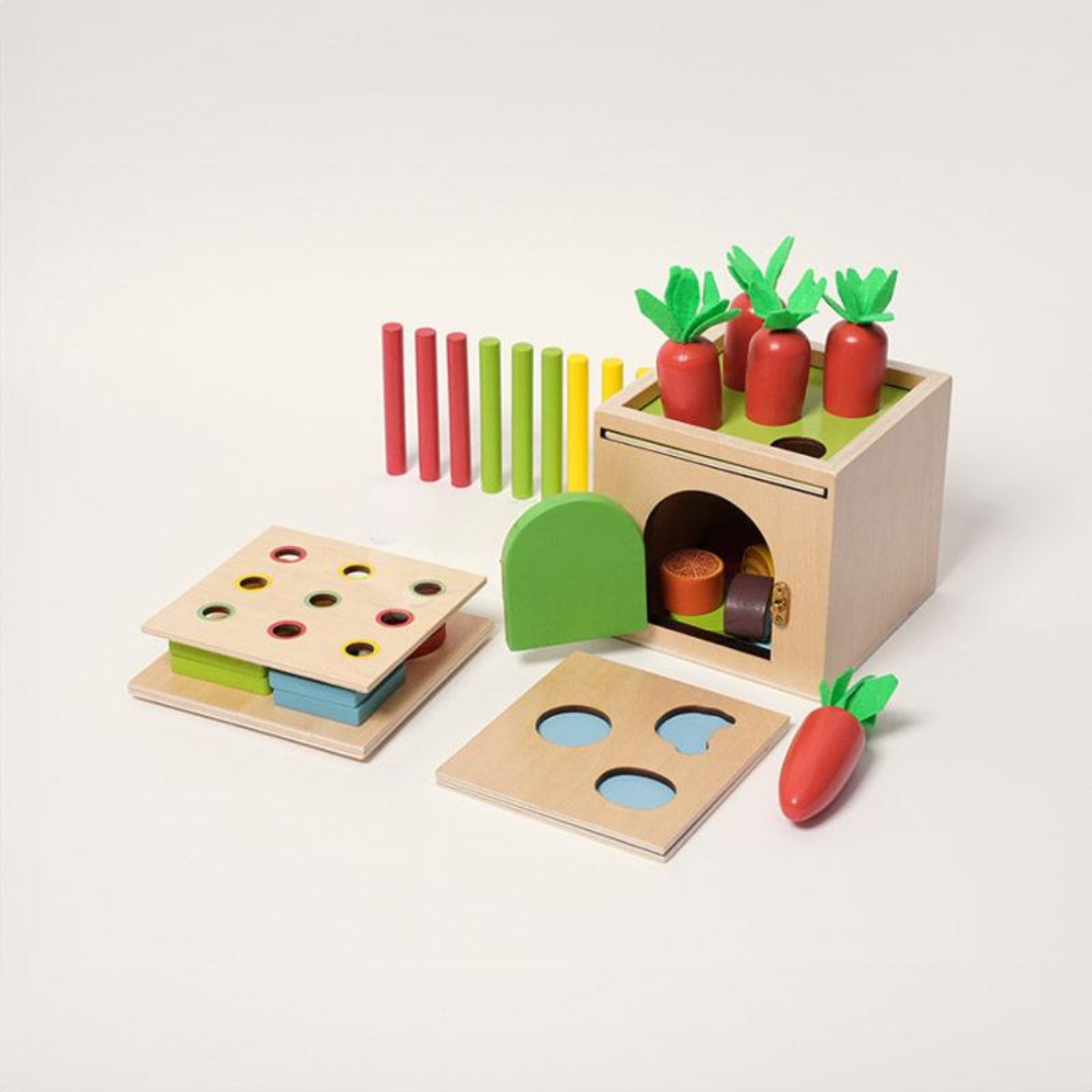 Rasa Sayang Montessori 6-in-1 Sorting Tool Set