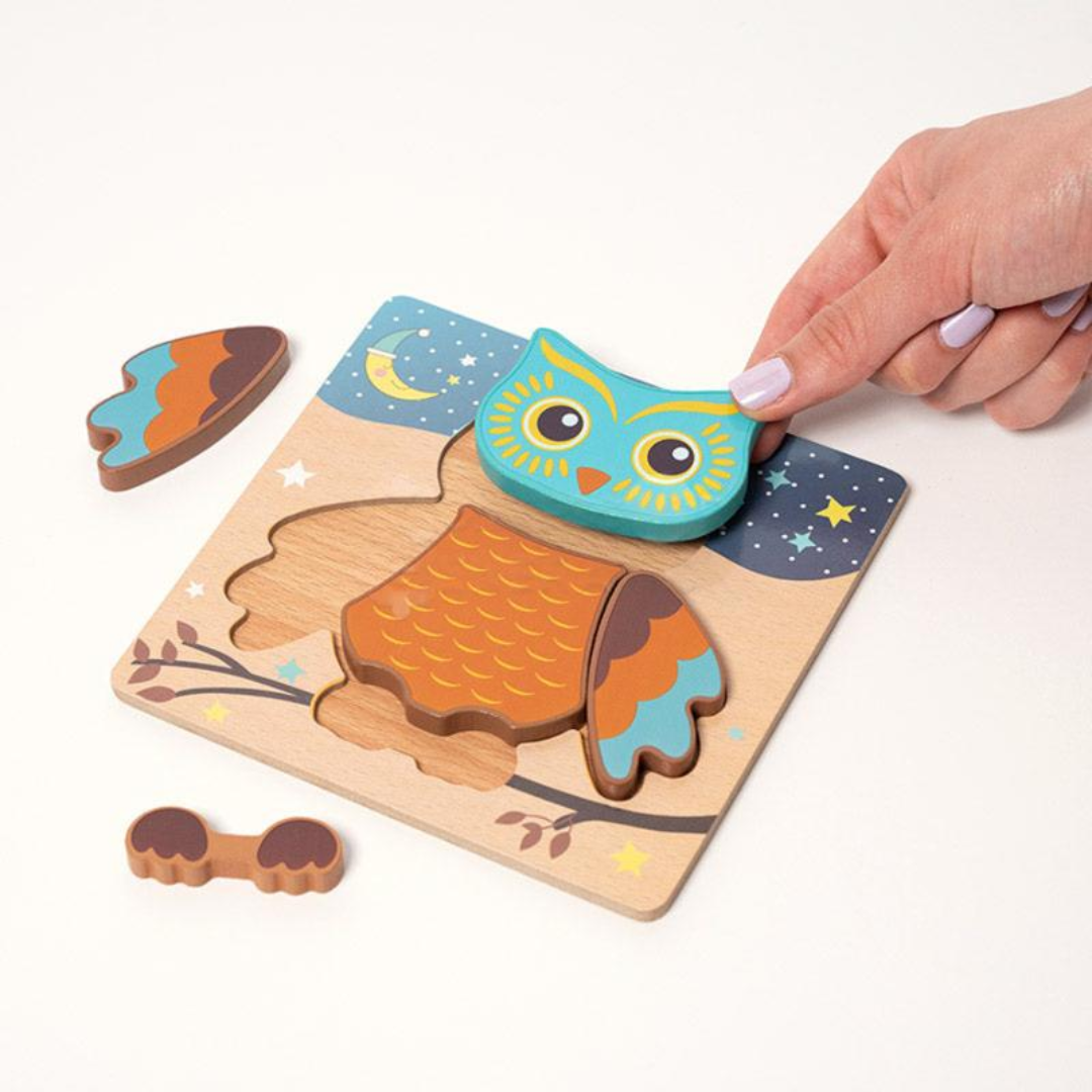 Rasa Sayang Montessori Happy Puzzles 6-Pack Set