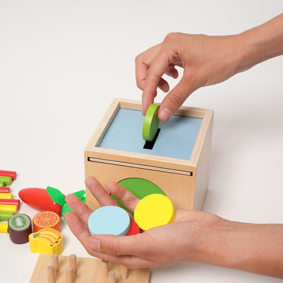 Rasa Sayang Montessori 6-in-1 Sorting Tool Set