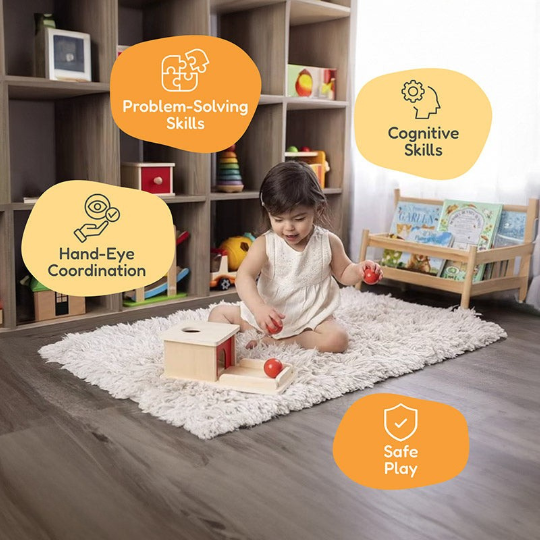 Rasa Sayang Montessori Object Permanence Box