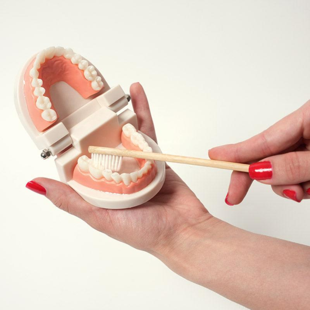 Rasa Sayang Montessori Brushing Teeth Learning Set