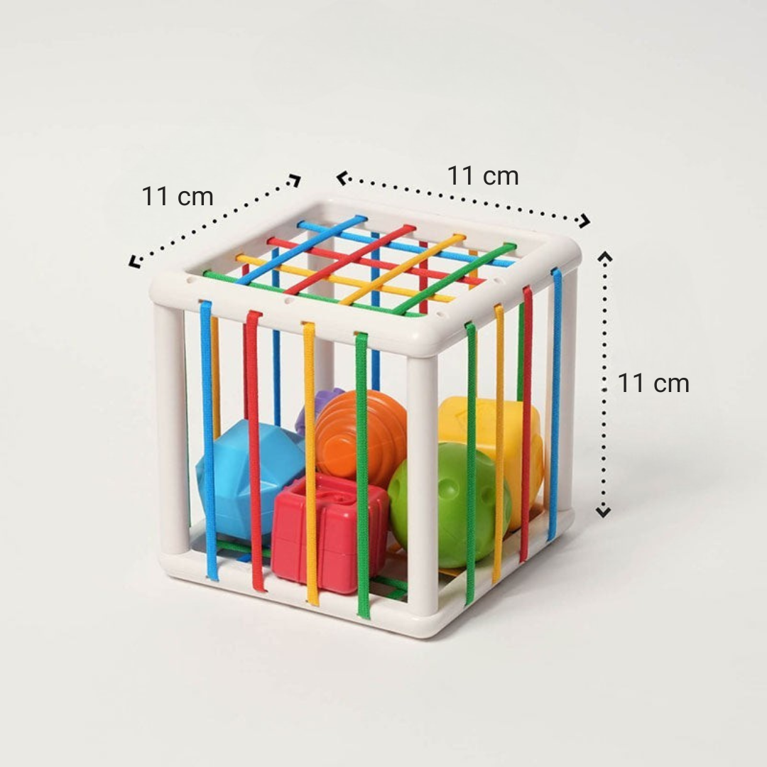 Rasa Sayang Montessori Shape Blocks
