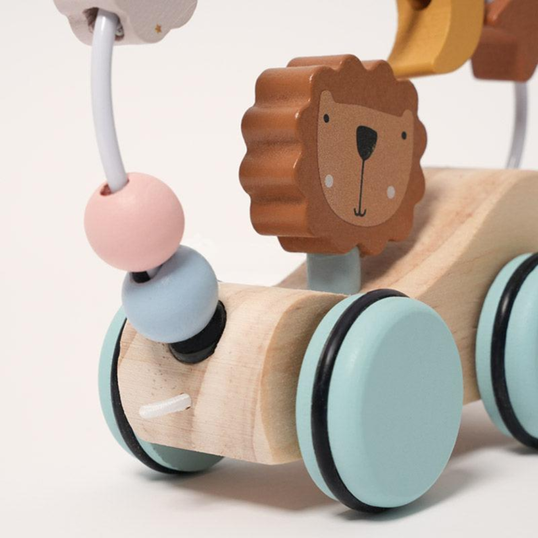 Rasa Sayang Montessori Roaring Roller