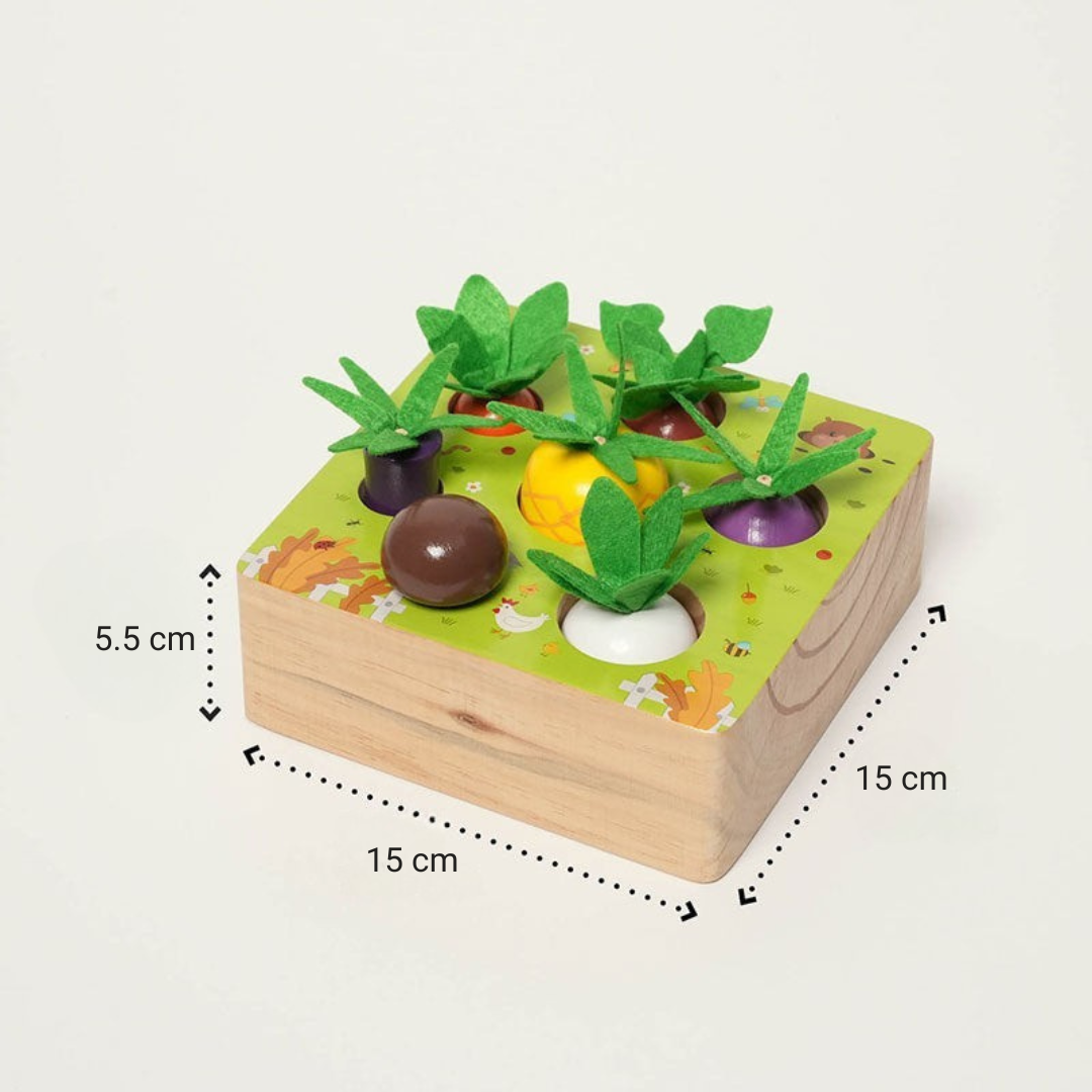 Rasa Sayang Montessori Vegetable Set