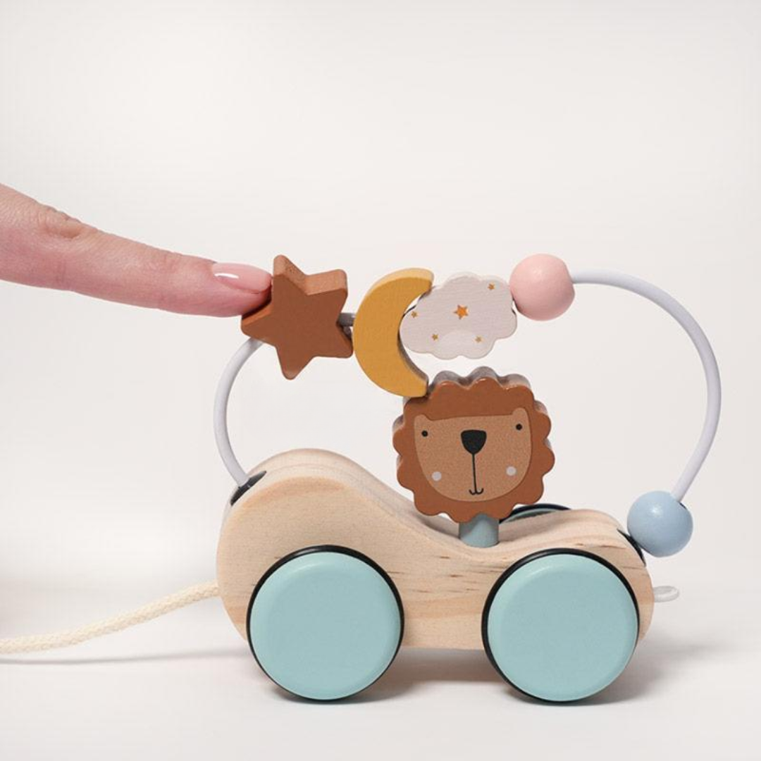 Rasa Sayang Montessori Roaring Roller