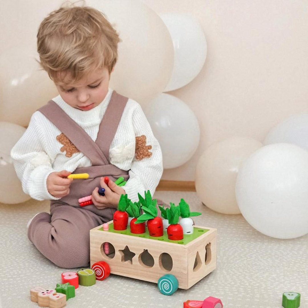 Rasa Sayang Montessori Carrot Wheels