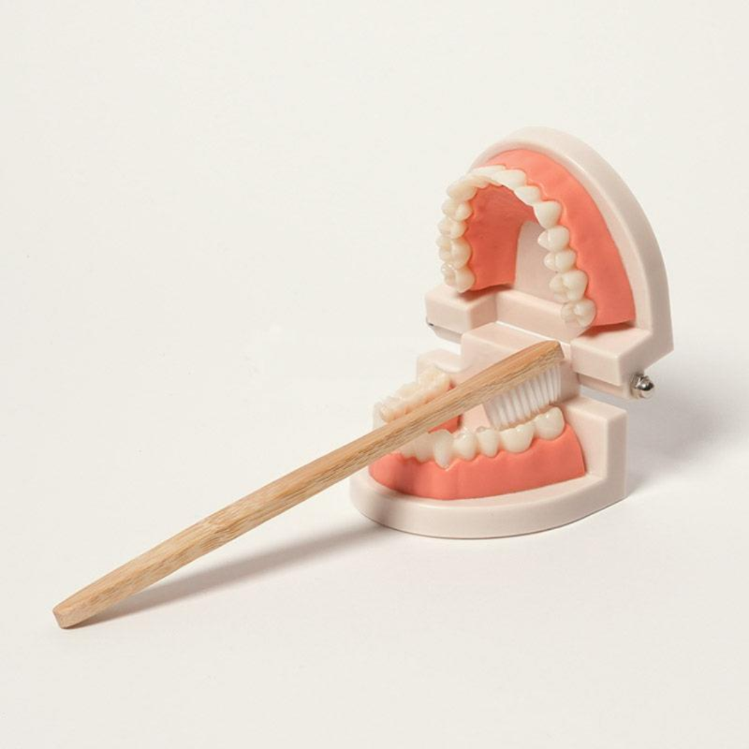Rasa Sayang Montessori Brushing Teeth Learning Set