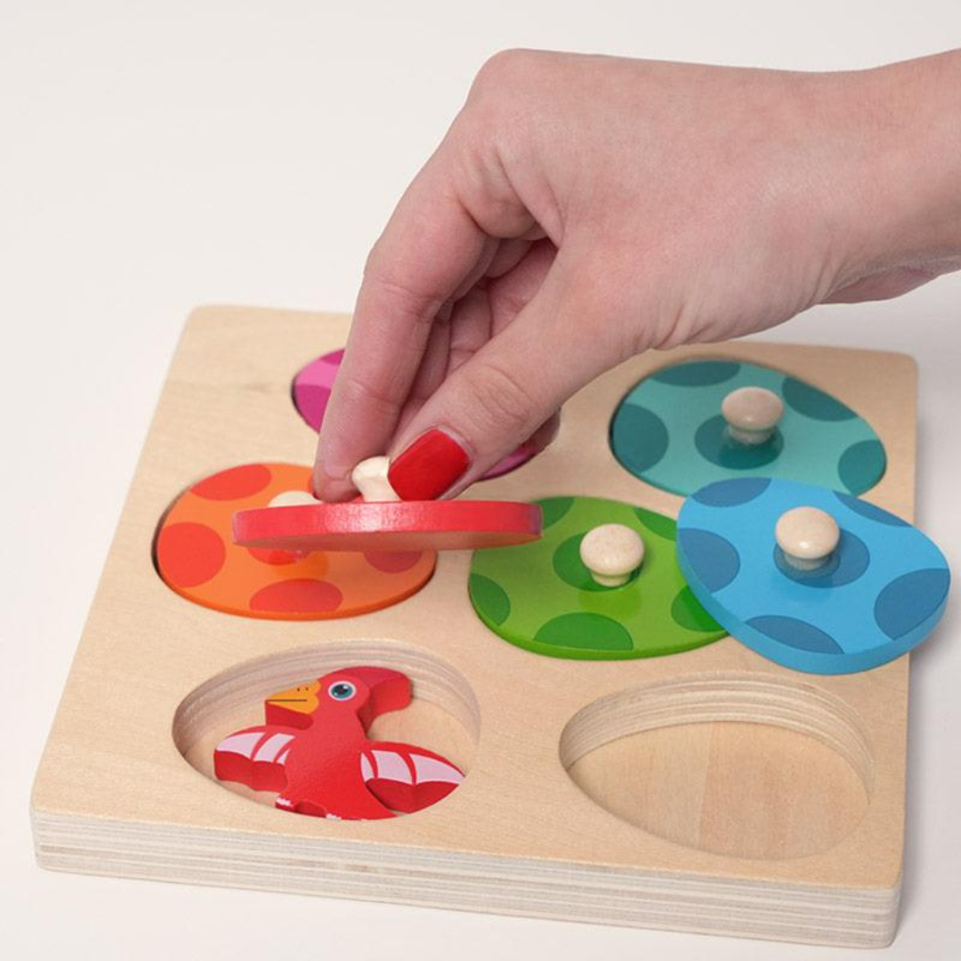 Rasa Sayang Montessori Dino Hatch & Match Set