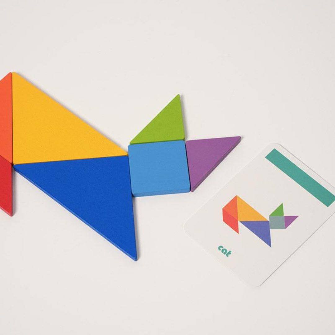 Rasa Sayang Montessori Tangram Sorting Puzzle