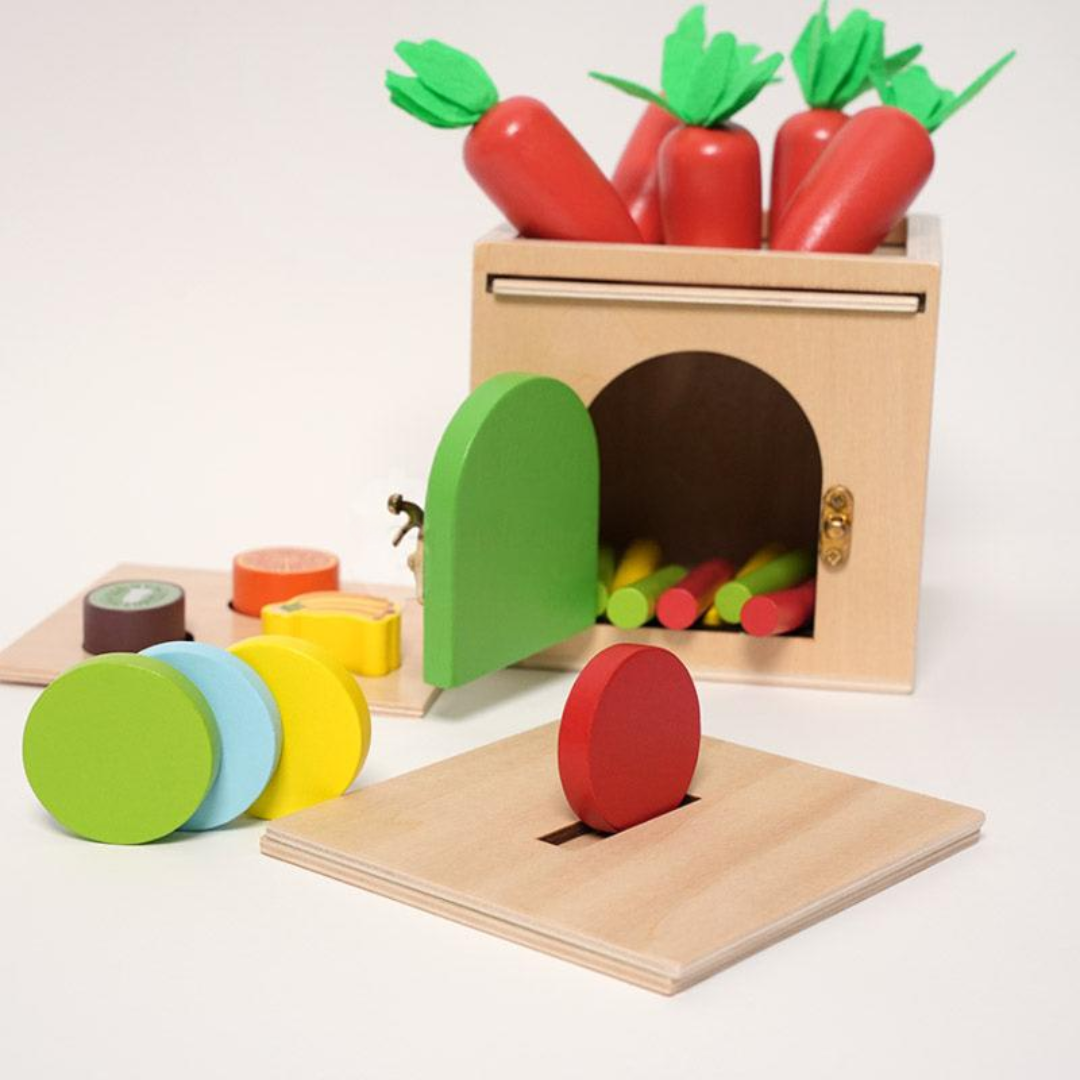 Rasa Sayang Montessori 6-in-1 Sorting Tool Set