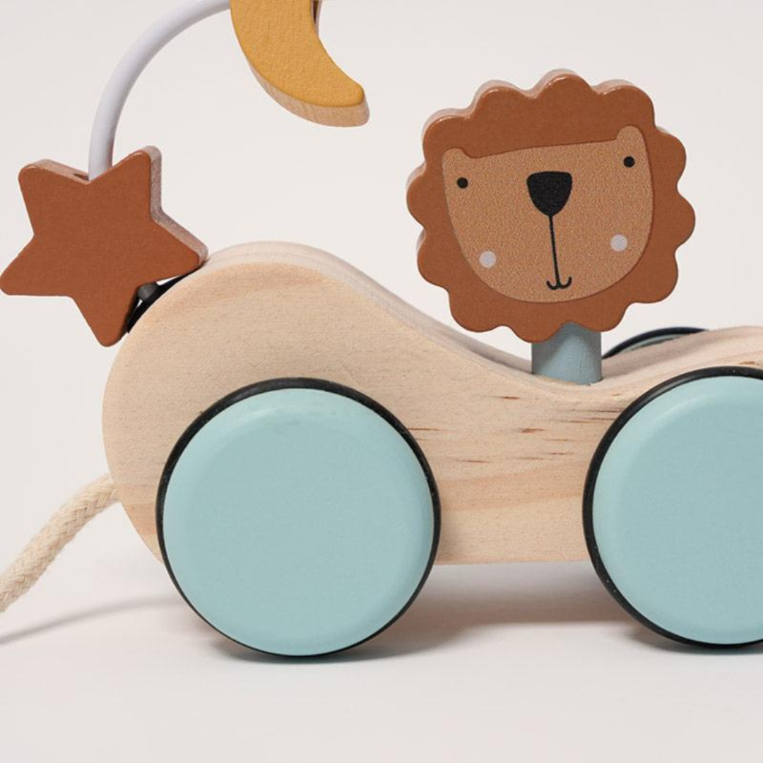 Rasa Sayang Montessori Roaring Roller