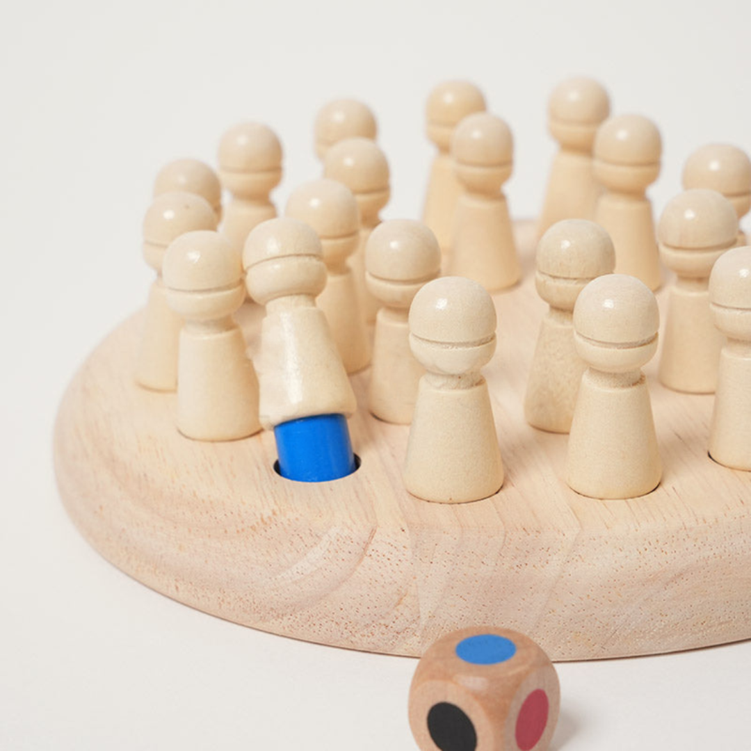 Rasa Sayang Montessori Memory Match Game Set