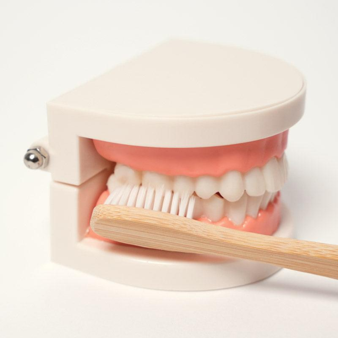 Rasa Sayang Montessori Brushing Teeth Learning Set