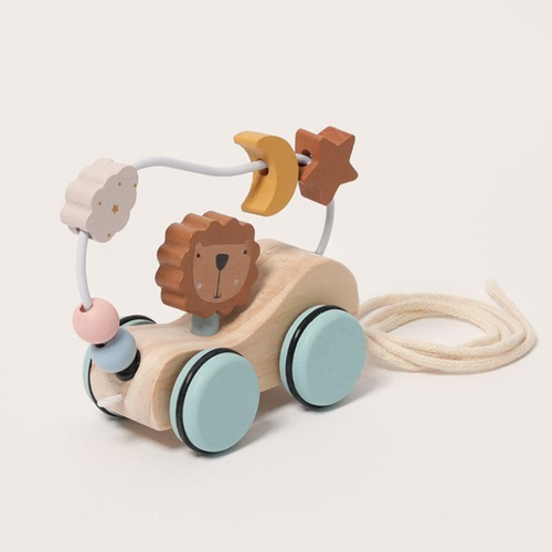 Rasa Sayang Montessori Roaring Roller