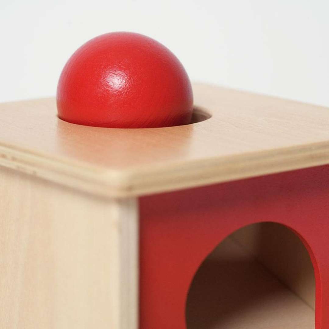 Rasa Sayang Montessori Object Permanence Box