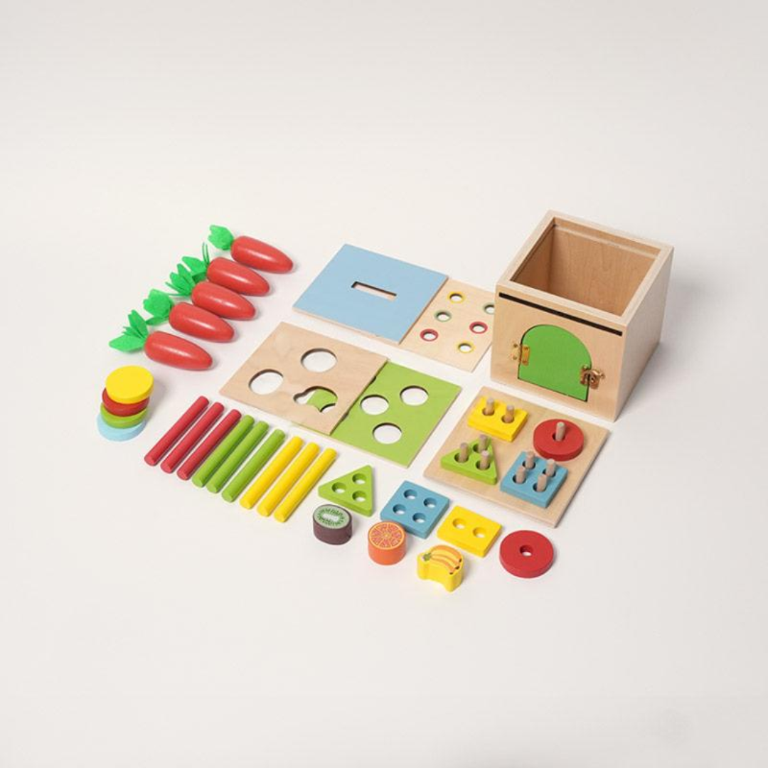 Rasa Sayang Montessori 6-in-1 Sorting Tool Set