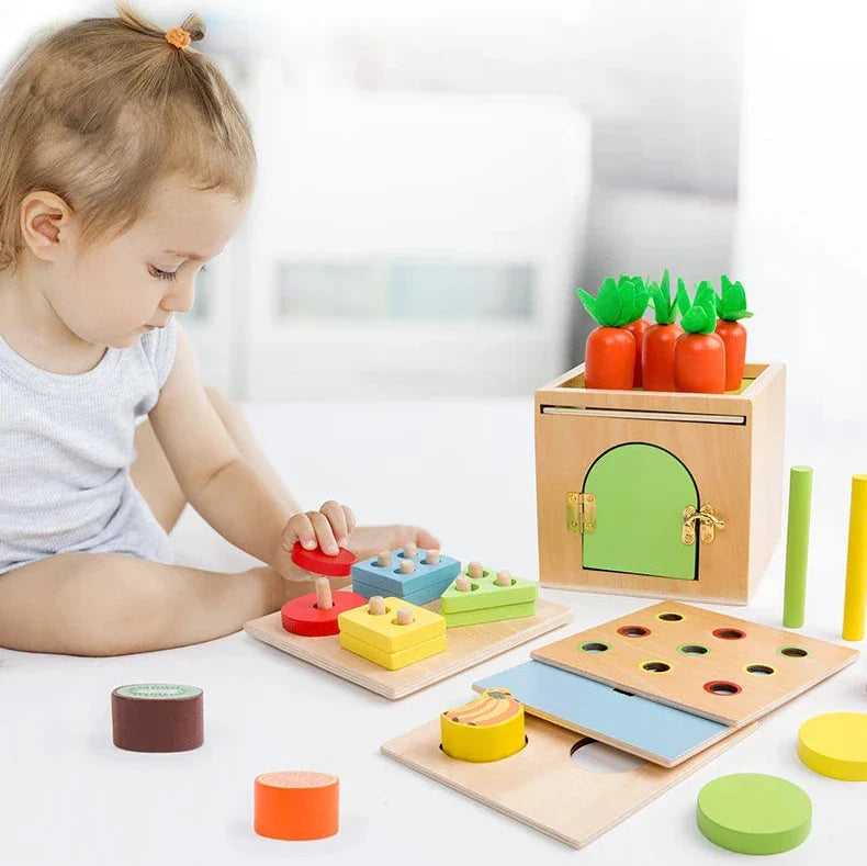 Rasa Sayang Montessori 6-in-1 Sorting Tool Set