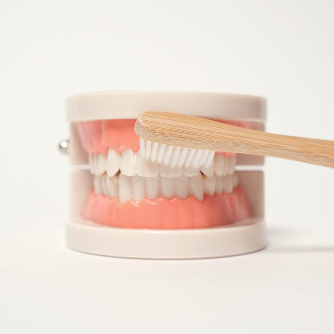 Rasa Sayang Montessori Brushing Teeth Learning Set