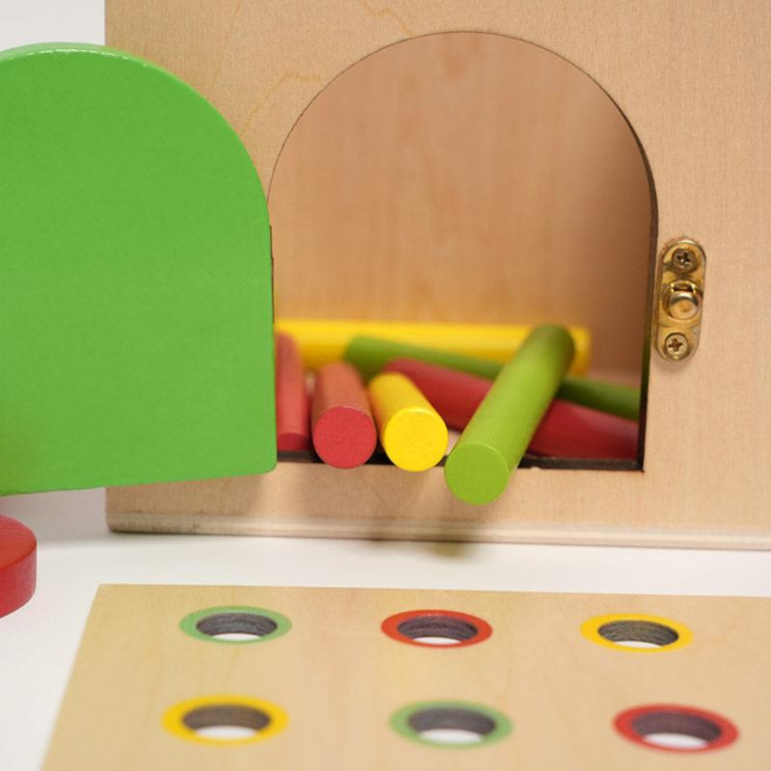 Rasa Sayang Montessori 6-in-1 Sorting Tool Set