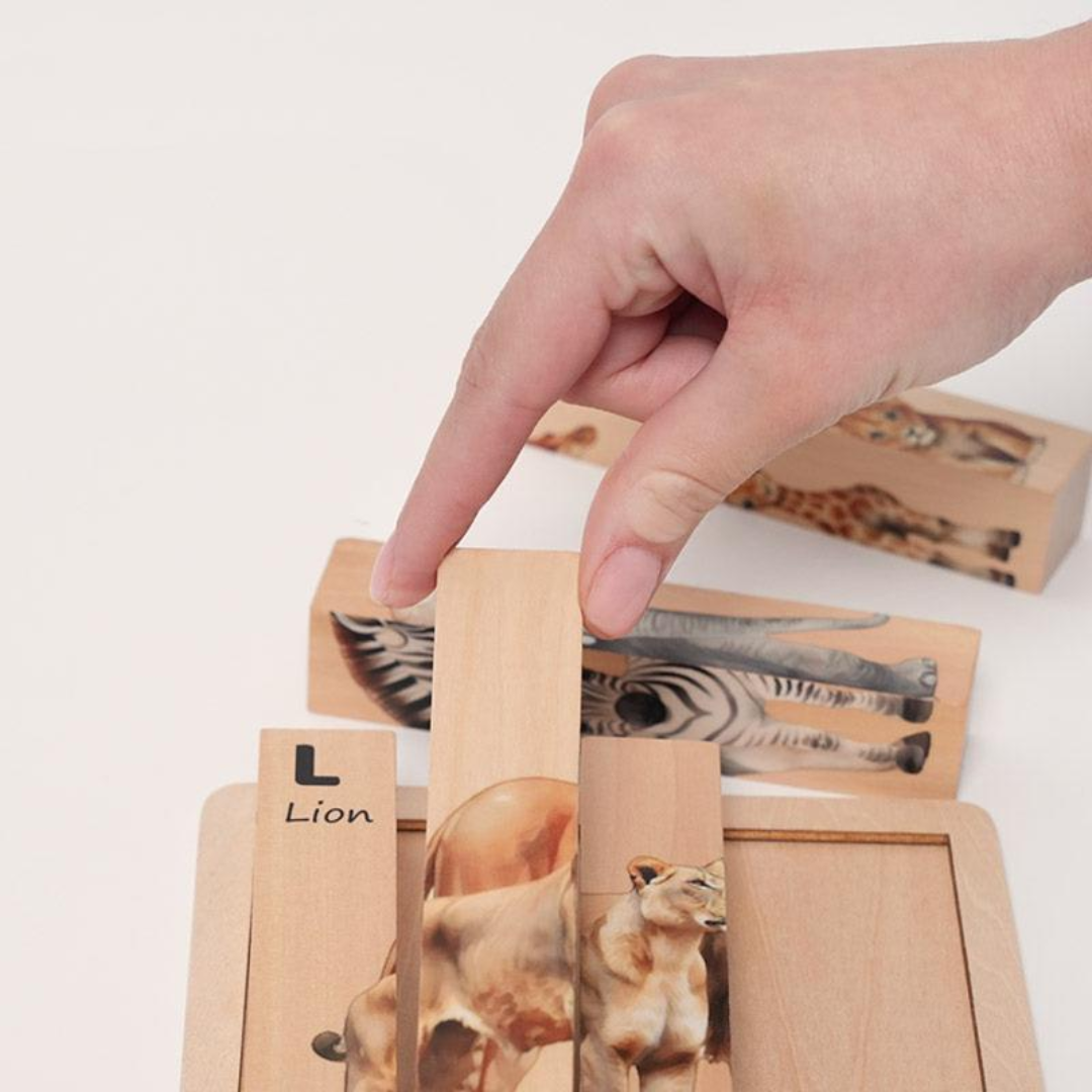 Rasa Sayang Montessori Twist & Match Puzzle