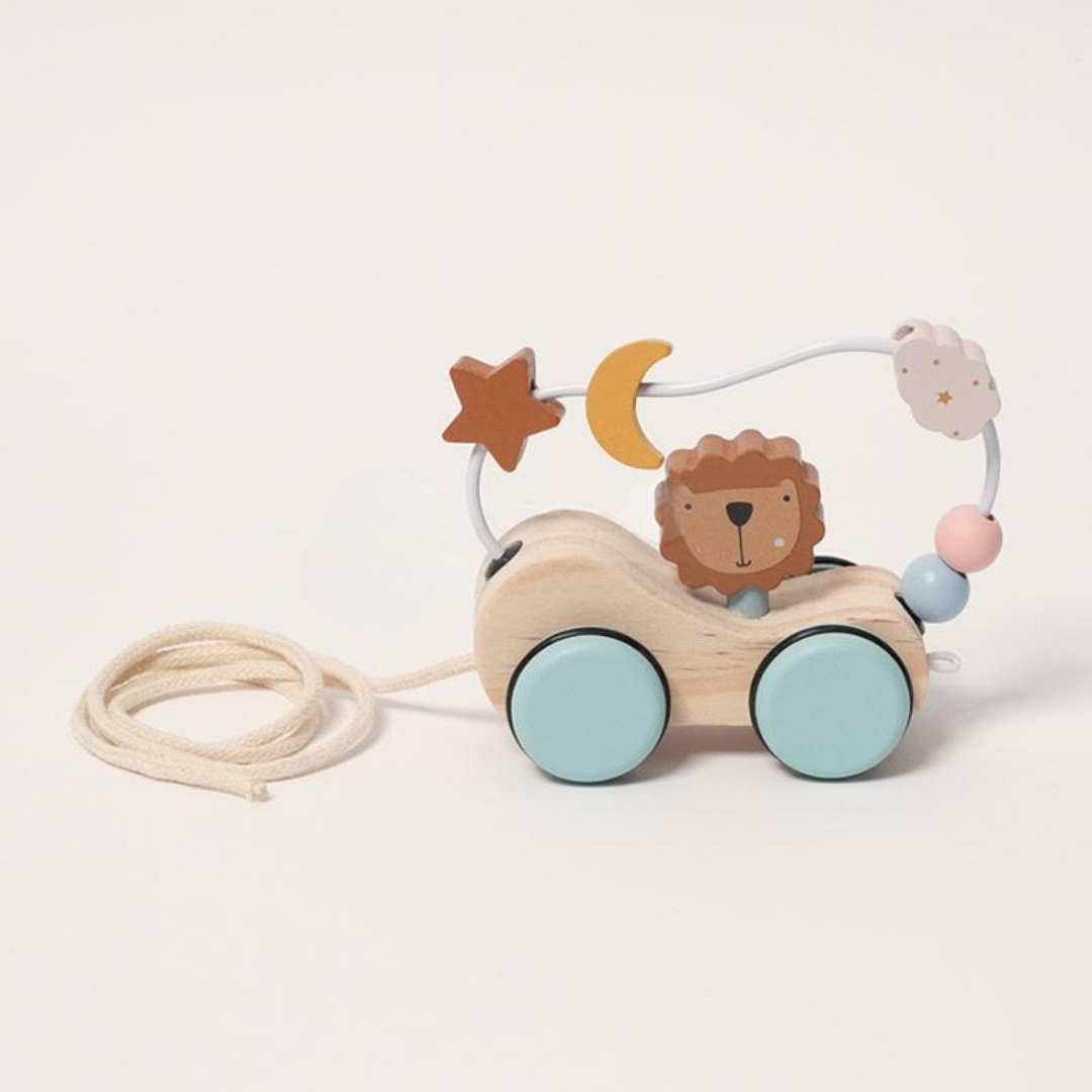 Rasa Sayang Montessori Roaring Roller