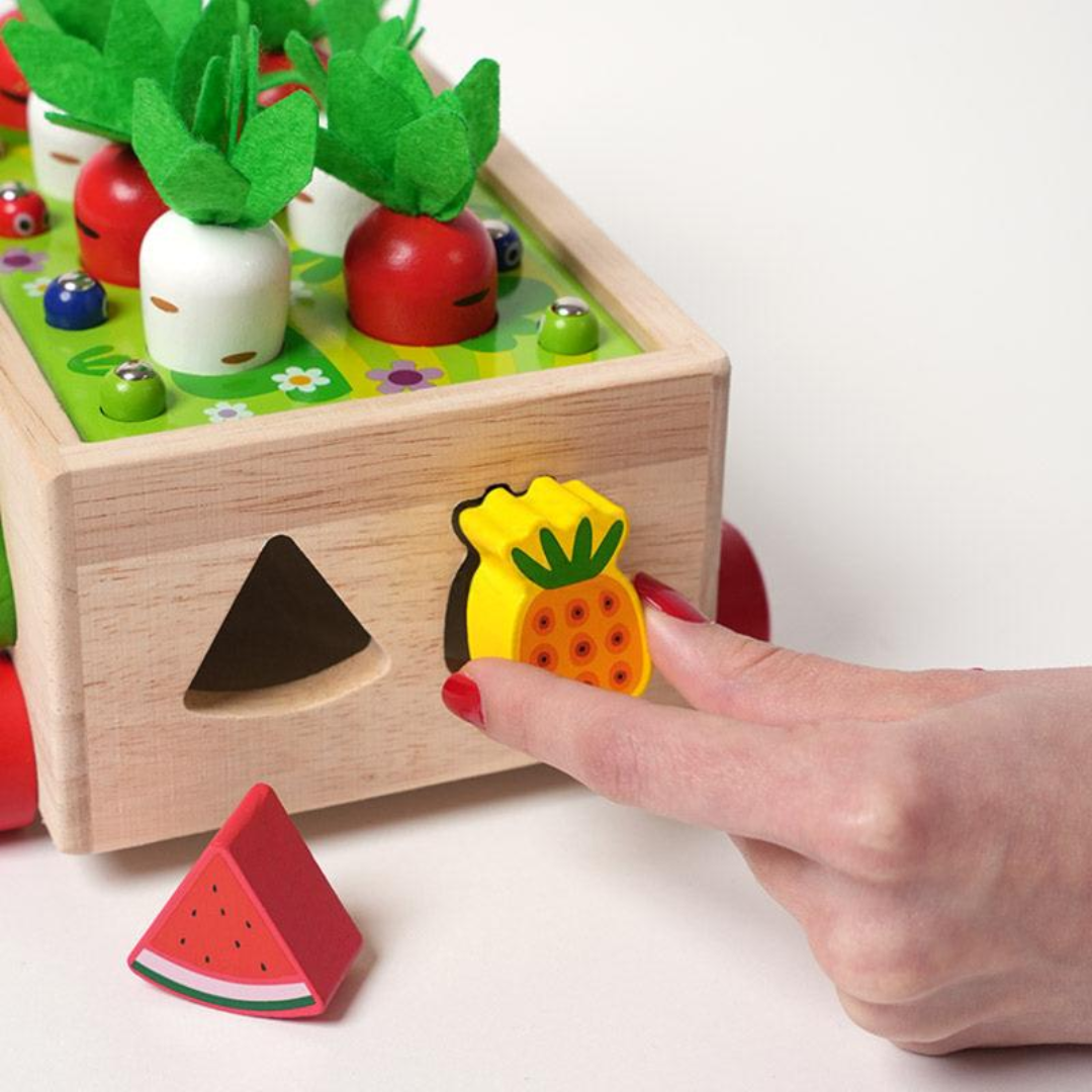 Rasa Sayang Montessori Carrot Wheels