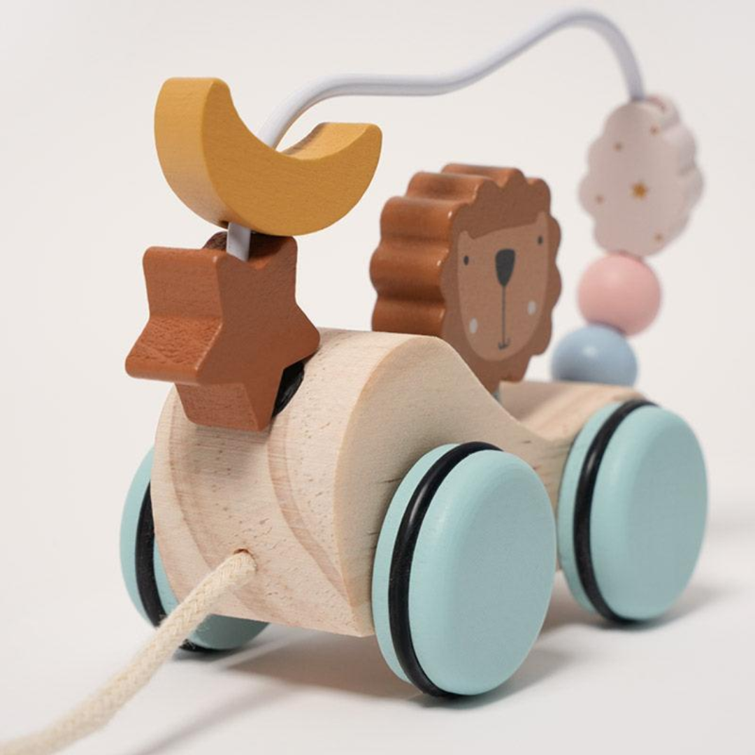 Rasa Sayang Montessori Roaring Roller