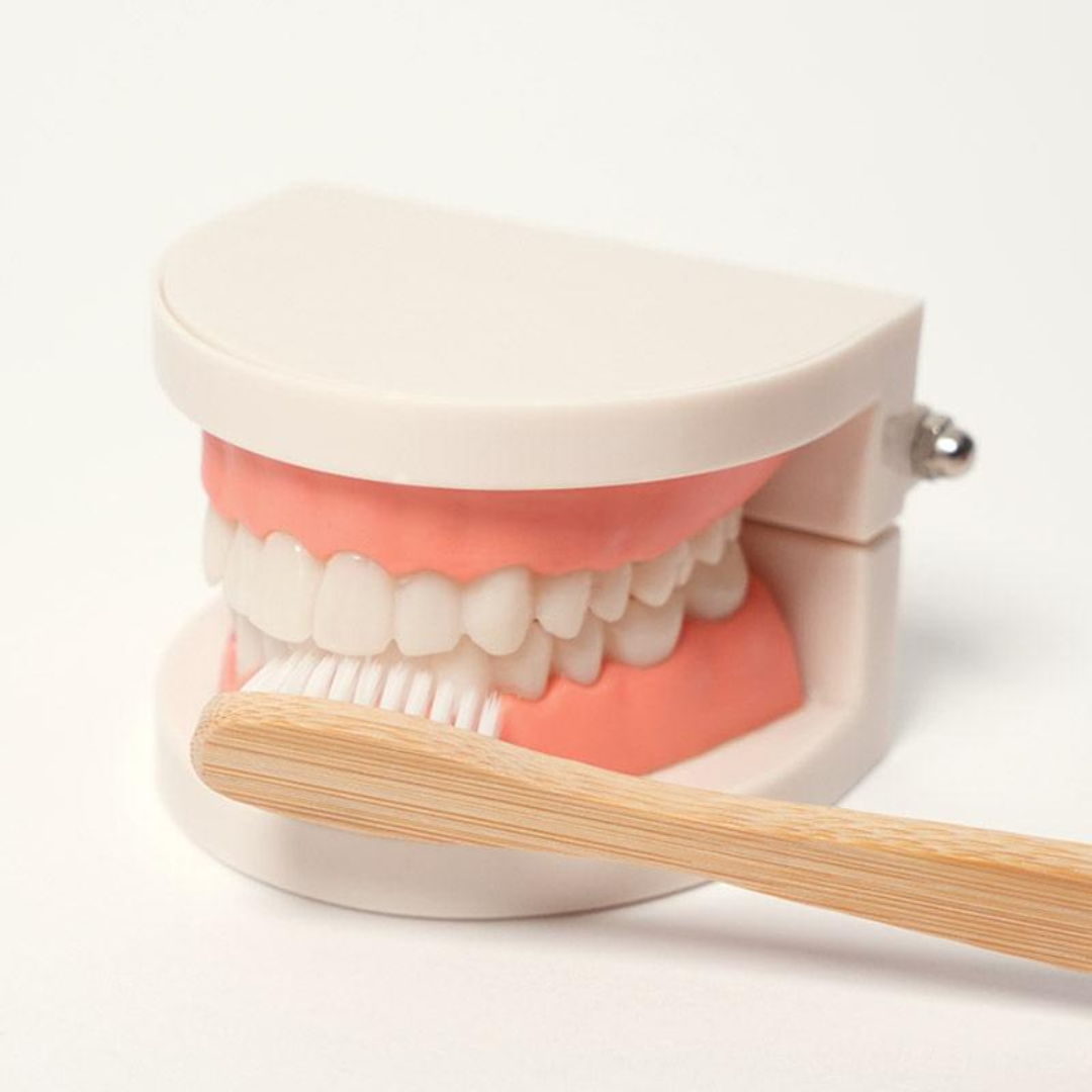 Rasa Sayang Montessori Brushing Teeth Learning Set