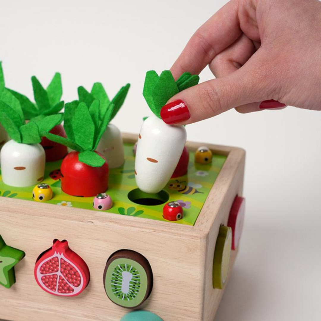 Rasa Sayang Montessori Carrot Wheels