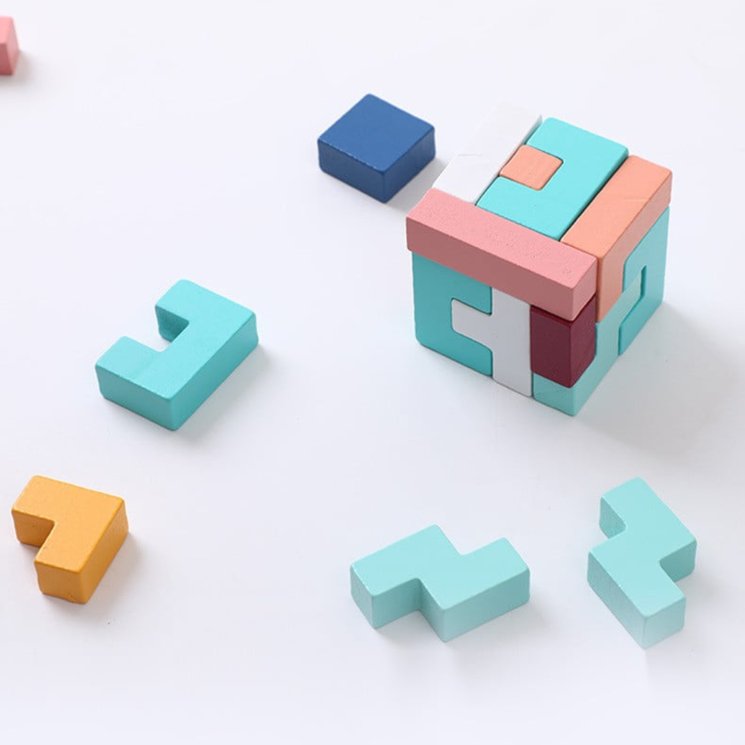 Rasa Sayang Montessori Wooden Tetris Set