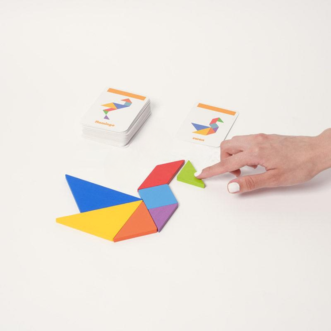 Rasa Sayang Montessori Tangram Sorting Puzzle