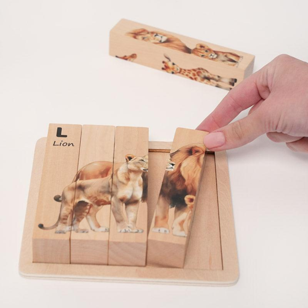 Rasa Sayang Montessori Twist & Match Puzzle