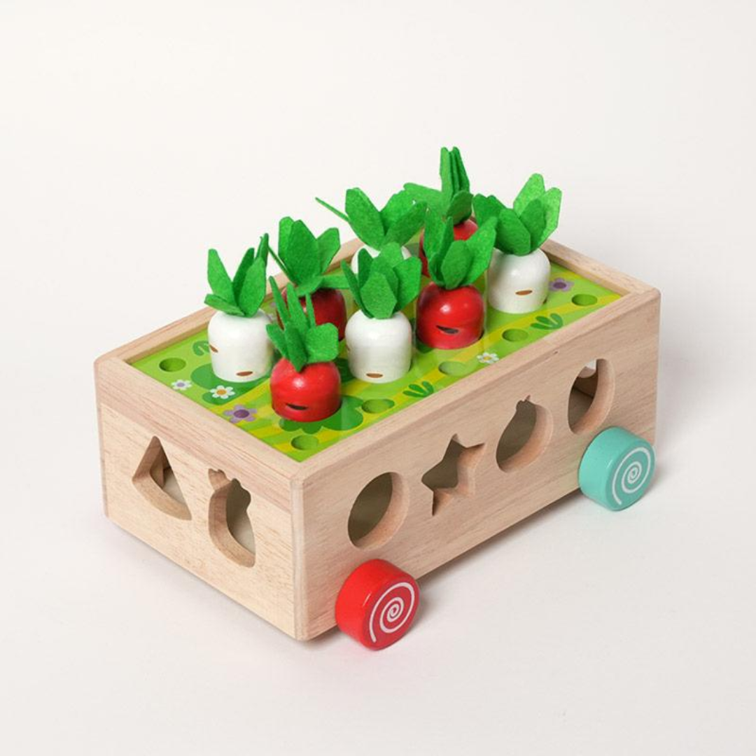 Rasa Sayang Montessori Carrot Wheels