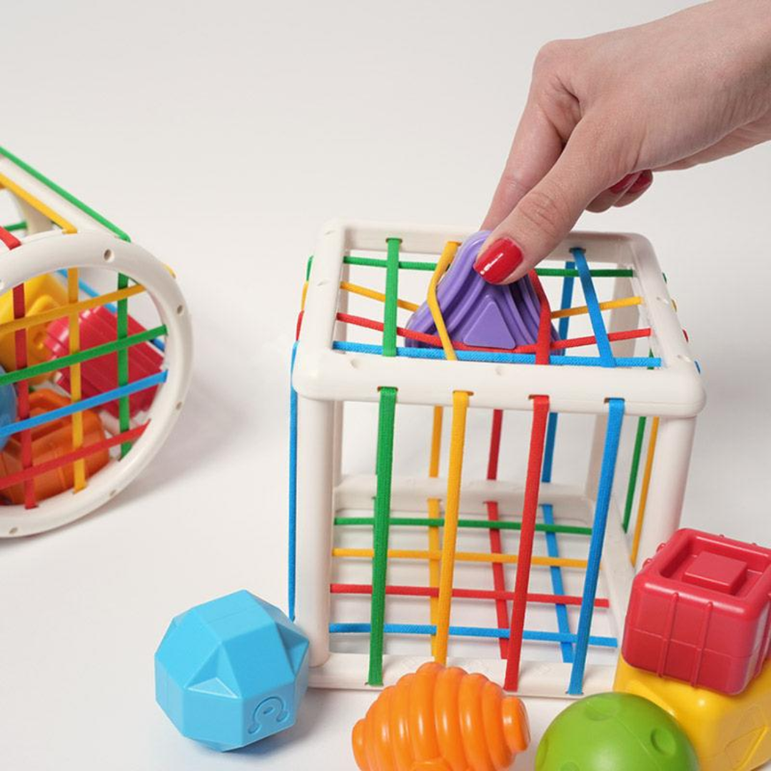 Rasa Sayang Montessori Shape Blocks