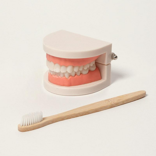 Rasa Sayang Montessori Brushing Teeth Learning Set