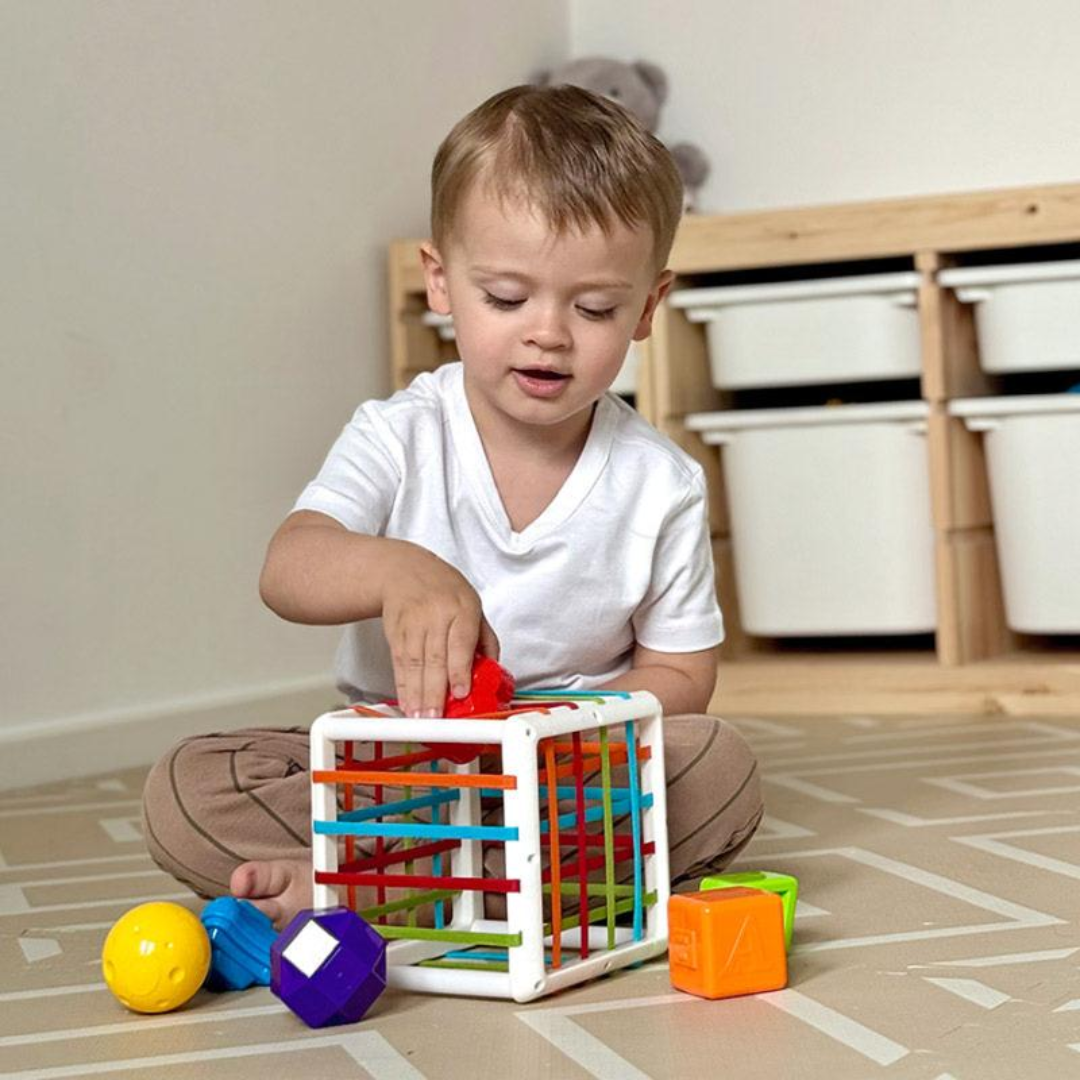 Rasa Sayang Montessori Shape Blocks