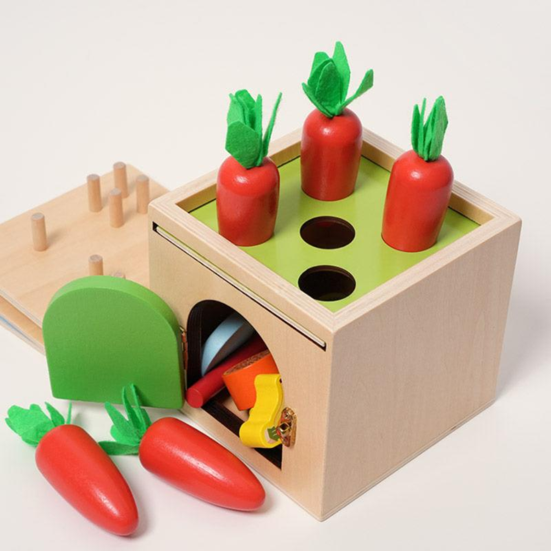 Rasa Sayang Montessori 6-in-1 Sorting Tool Set