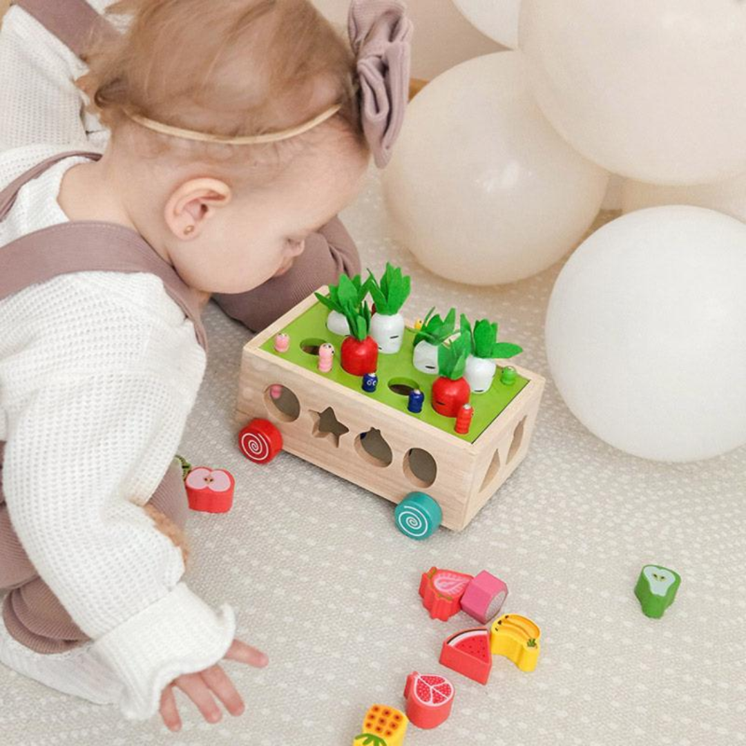 Rasa Sayang Montessori Carrot Wheels