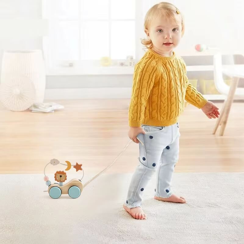 Rasa Sayang Montessori Roaring Roller