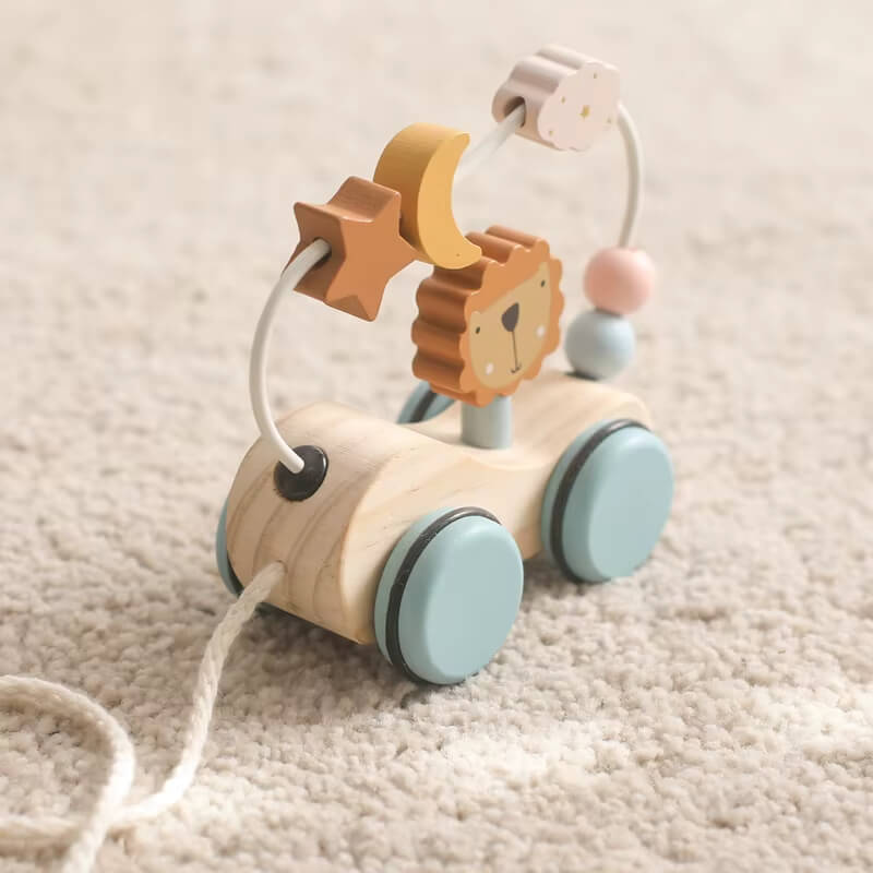 Rasa Sayang Montessori Roaring Roller