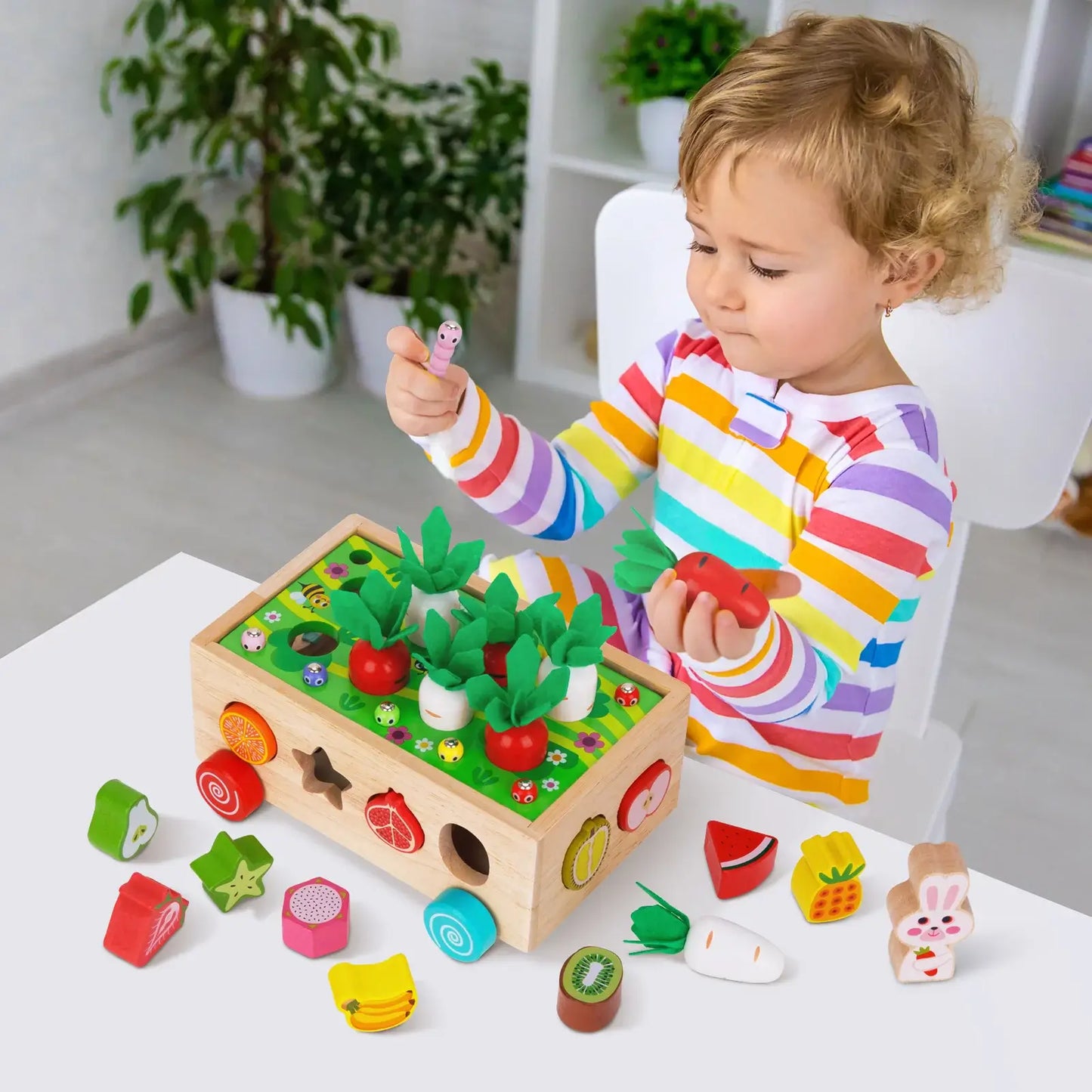 Rasa Sayang Montessori Carrot Wheels