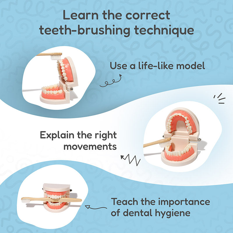 Rasa Sayang Montessori Brushing Teeth Learning Set