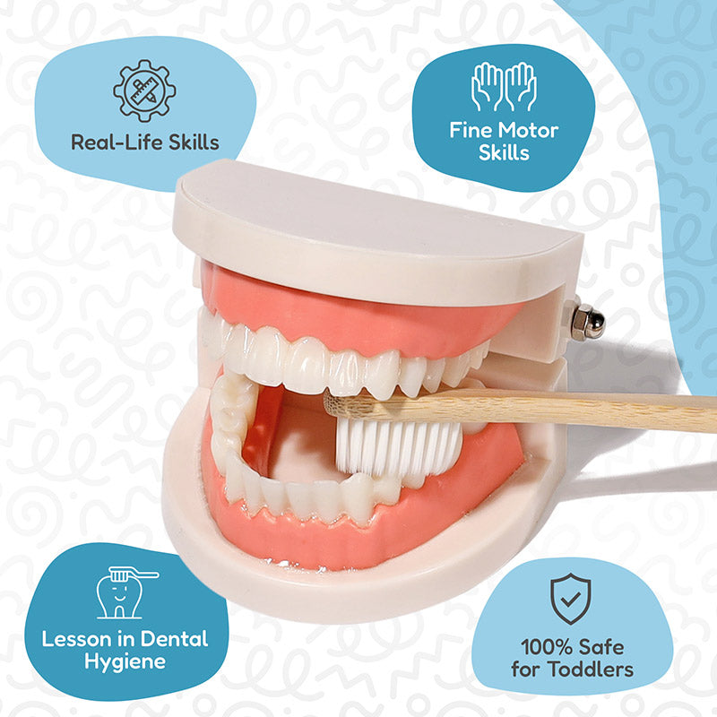 Rasa Sayang Montessori Brushing Teeth Learning Set