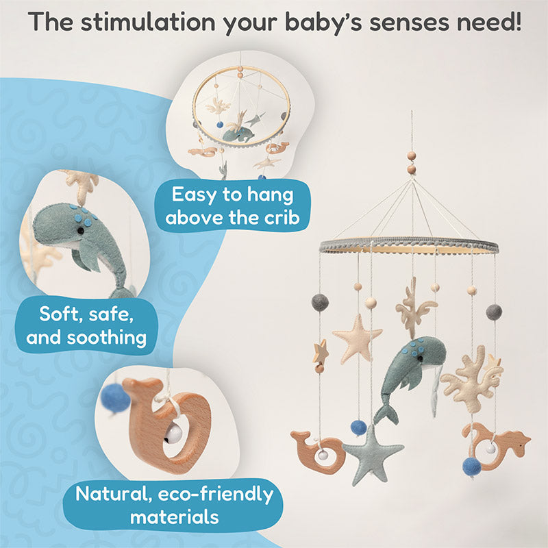 Rasa Sayang Montessori Ocean Life Mobile