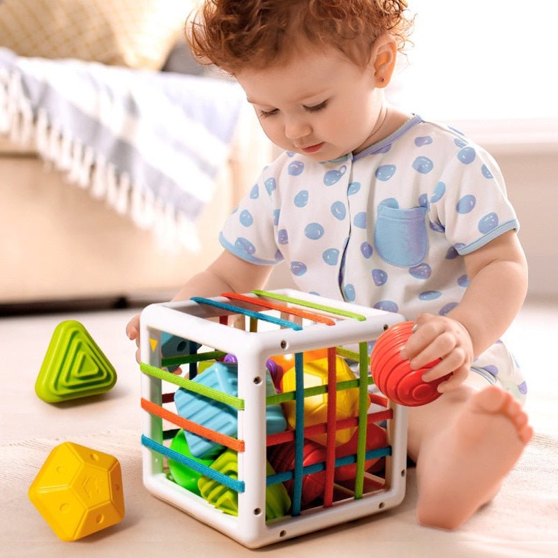 Rasa Sayang Montessori Shape Blocks