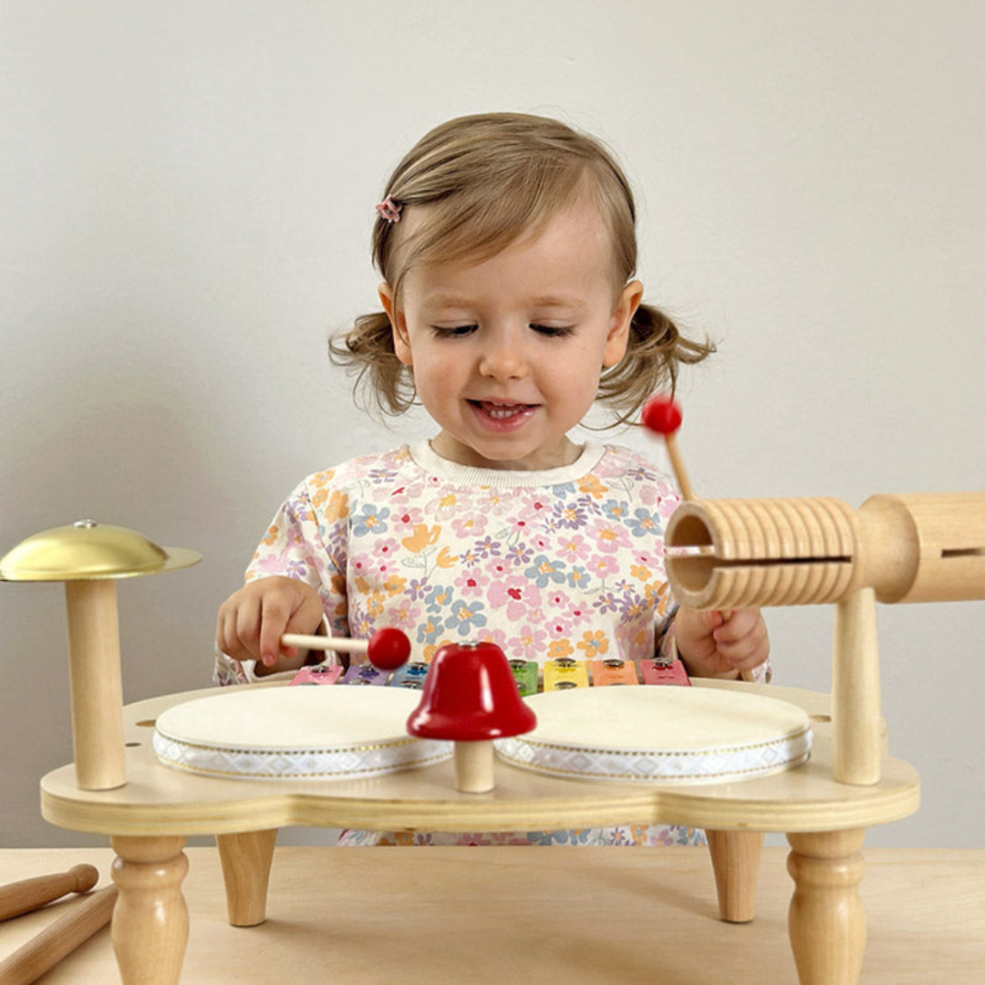 Rasa Sayang Montessori Musical Percussion Set