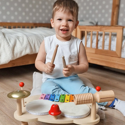 Rasa Sayang Montessori Musical Percussion Set
